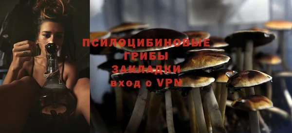 соль ск Аркадак