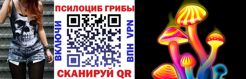Купить закладки  Ветлуга  Псилоцибиновые грибы GOLDEN TEACHER 
